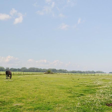 Horseshoe Cottage Alkham Zewnętrze zdjęcie